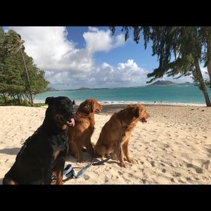 Meet your Posher, Stacey